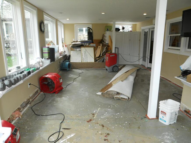 Water Damage Restoration & Mold Removal