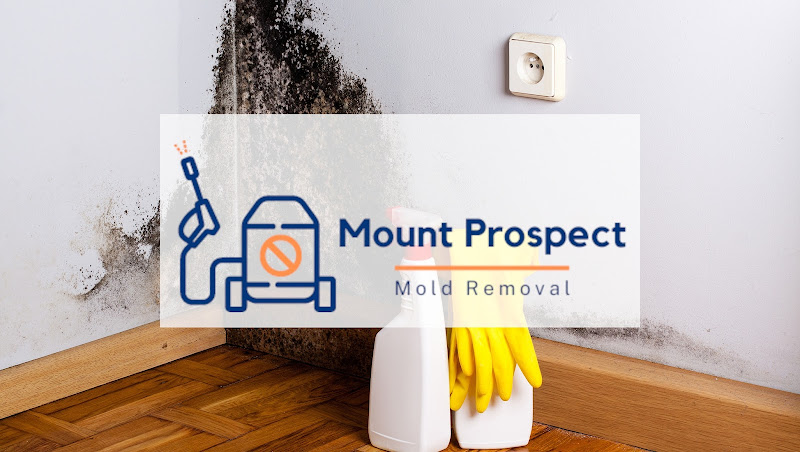 Mount Prospect Mold Removal