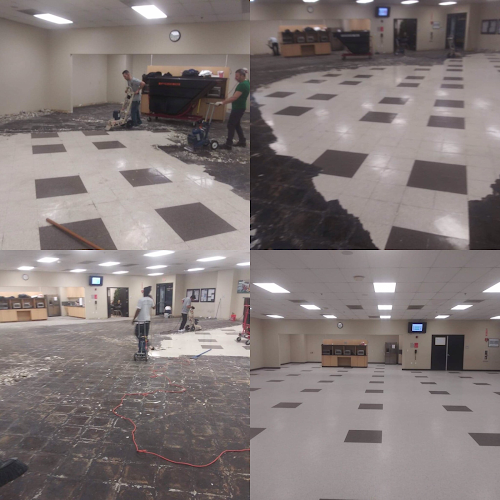 Green Solutions Carpet