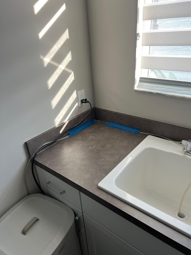 Mold and Water Florida