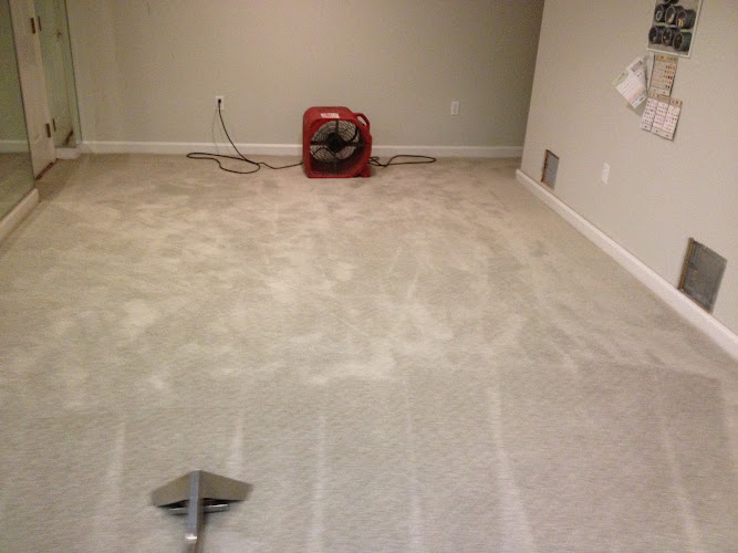 Easy Clean Carpet & Upholstery Cleaning