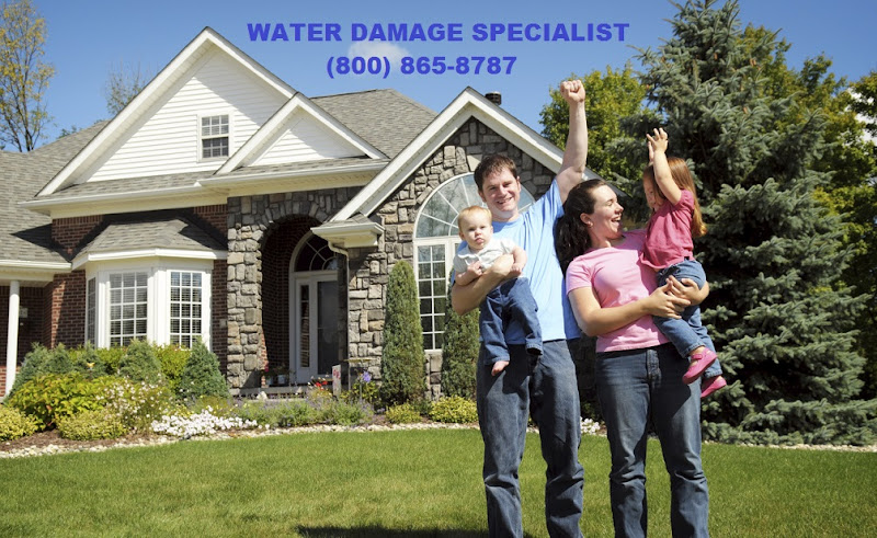 Rytech Palm Beach and Mold Specialists