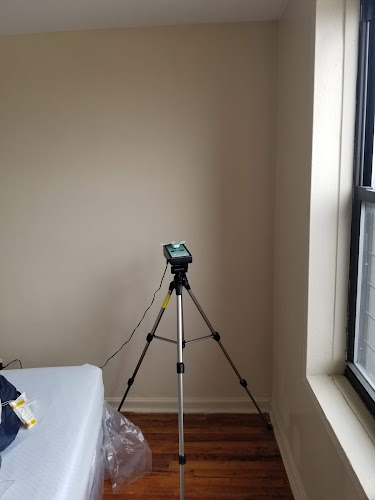 Jamaica Best Mold Removal