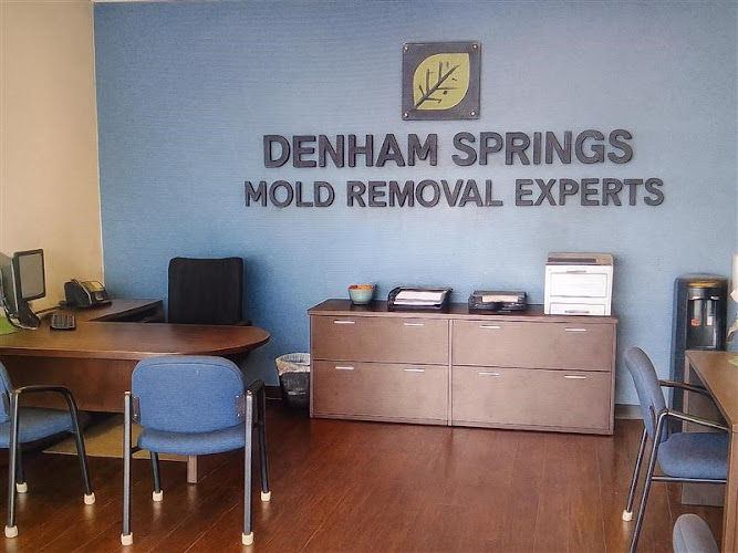 Denham Springs Mold Removal Experts