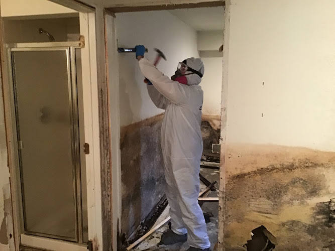 PuroClean Mitigation & Restoration Services