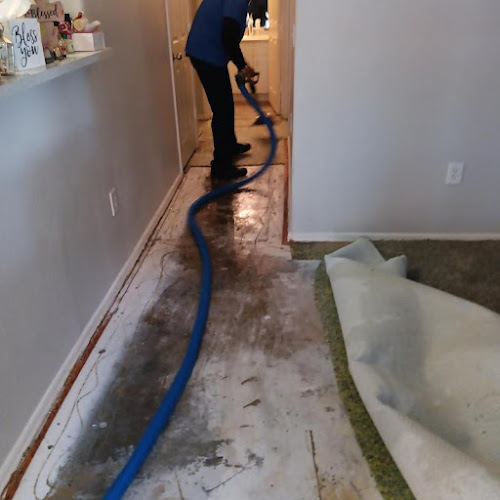 Immaculate Restoration