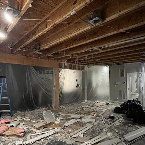 SOS Mold Removal Queens