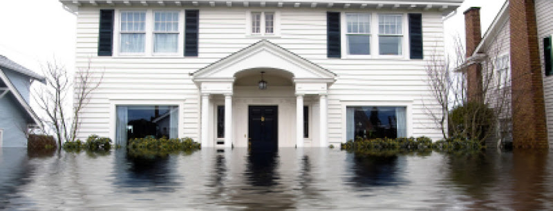 Hollywood Restoration, Inc.