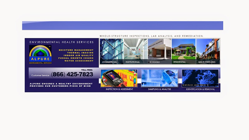 Alpure Environmental Services