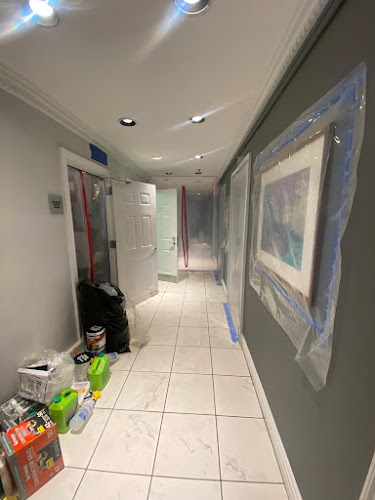 Mold Removal Masters Queens