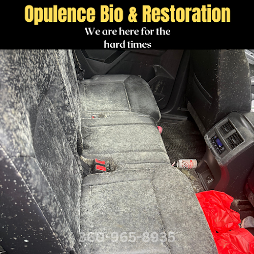 Opulence Bio & Restoration | Snohomish