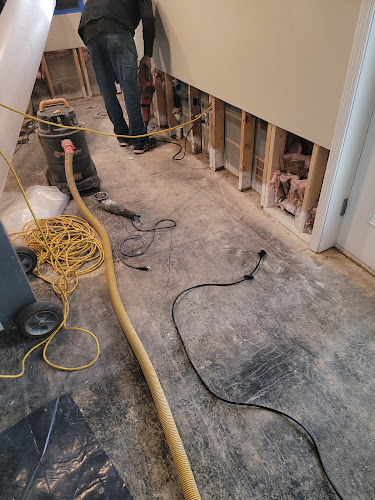 DRI-WRX MOLD & REMOVAL The Firm