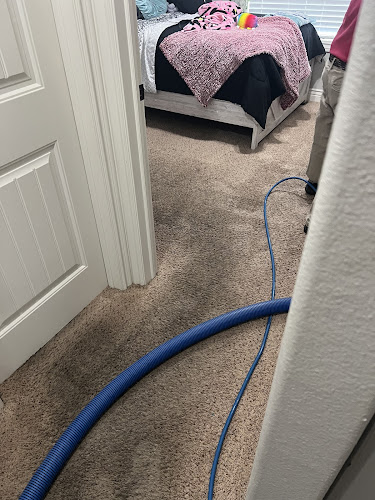 Snow White Carpet Cleaning