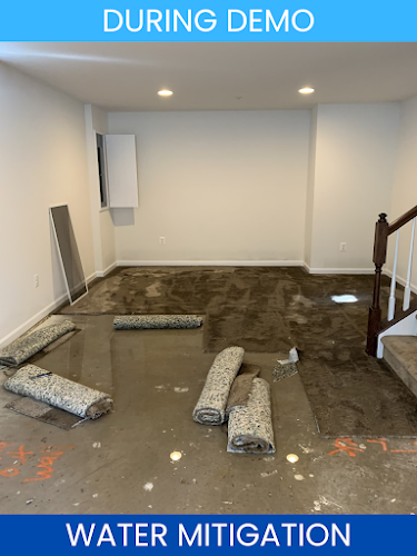 Paragon Property Restoration