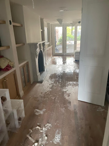 Best Basement Removal ASAP