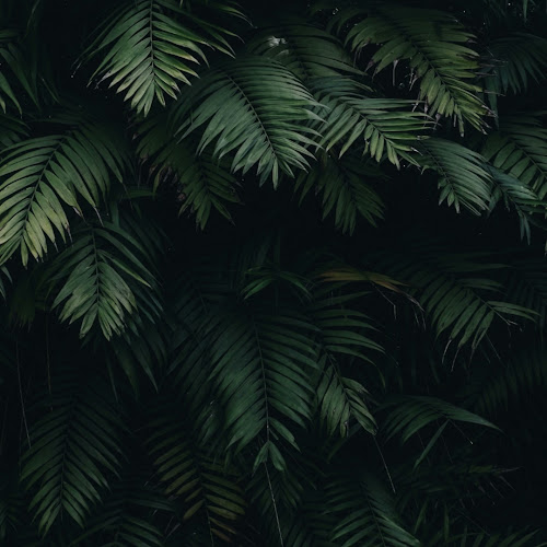 Temecula Ultimate Water Damage Restoration Services