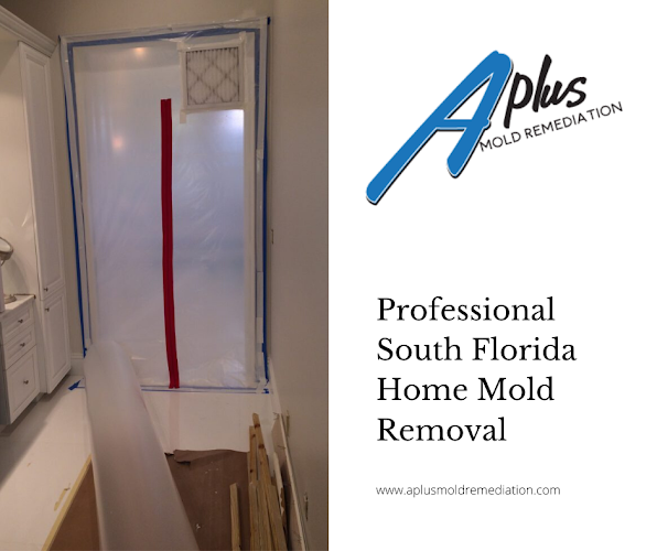 A Plus Mold Remediation Inc.