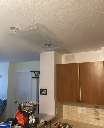 Que Mold Pro Inspector