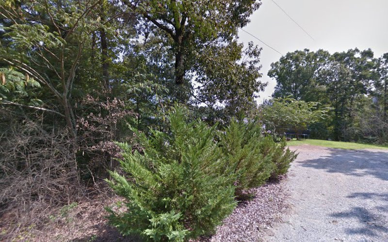 Lyla Mold Inspection & Removal Of Calera