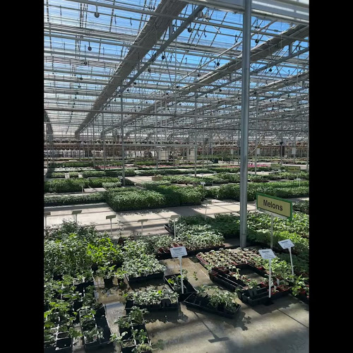 Skyline Property Restoration