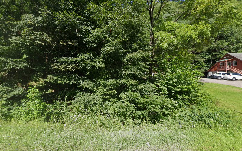 Brushy Fork Environ Consltng