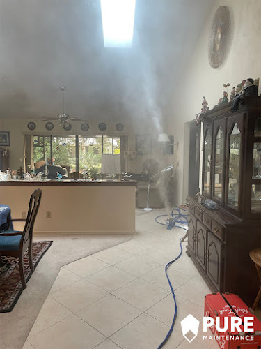 Pure Maintenance Mold Remediation