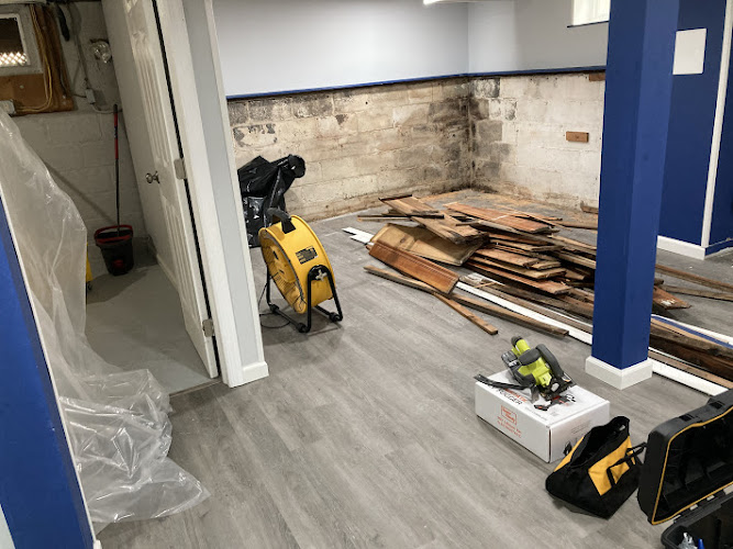 Tasice Mold Removal & Cleaning