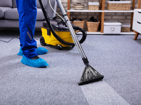 VerHague's Custom Carpets & Upholstery Cleaning