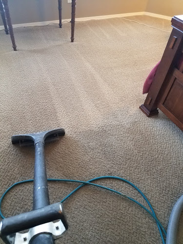 Shaggy's Carpet Cleaning