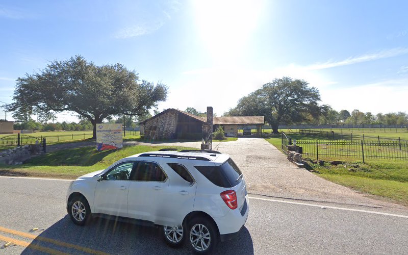 Dream Team Water Damage Restoration