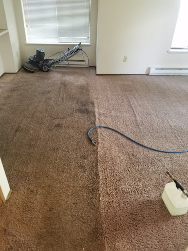 Swan's Carpet Cleaning