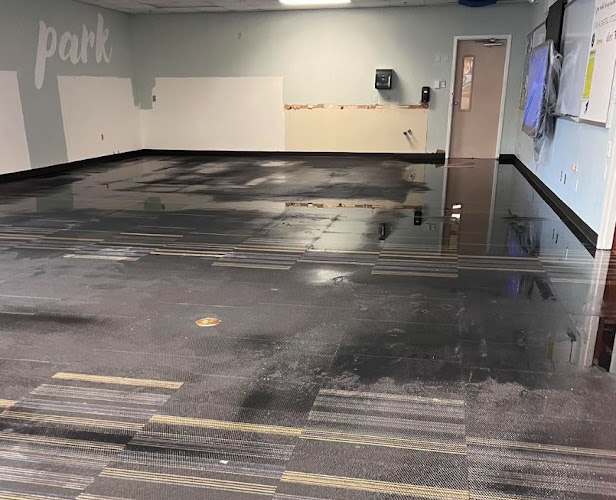 Vivid Water Damage & Restoration