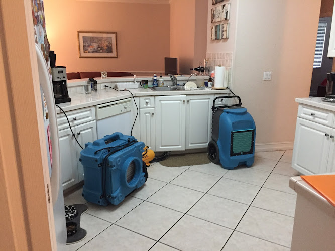 All Damage Restoration