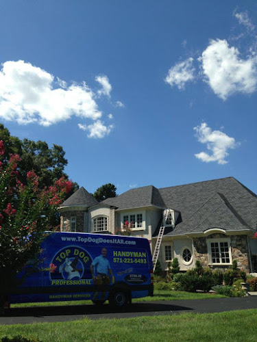 Top Dog Leak and Foundation Pros