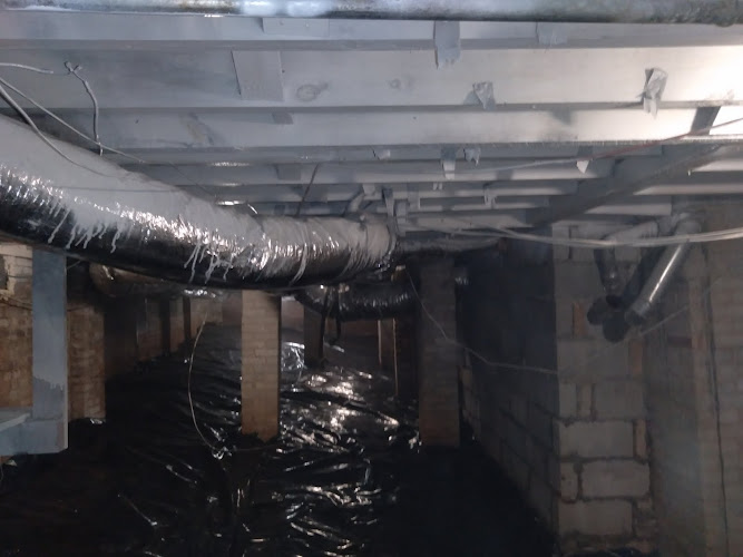 Mr. Mold Removal & Water Restoration