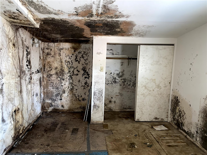 Nawova Mold Remediation Nampa