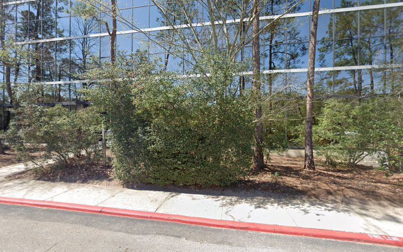 Flood Masters The Woodlands