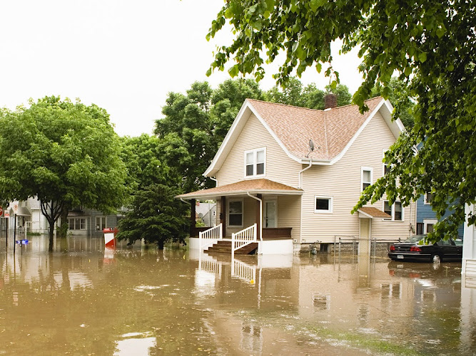 Water Damage Experts of Jupiter