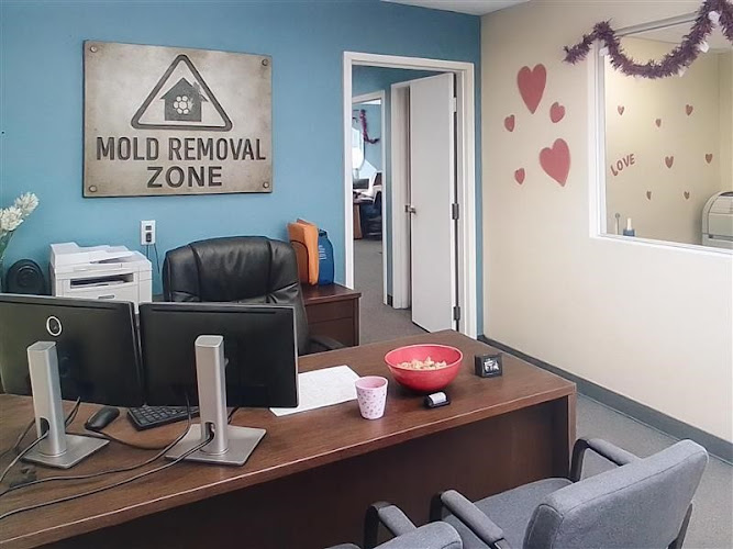 Mold Removal Zone - Hialeah FL