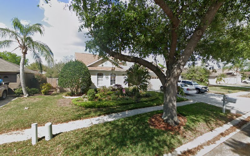 Mold Removal Riverview