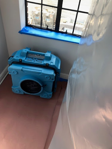 New Jersey Mold Specialist - Mold Inspection & Mold Removal Services