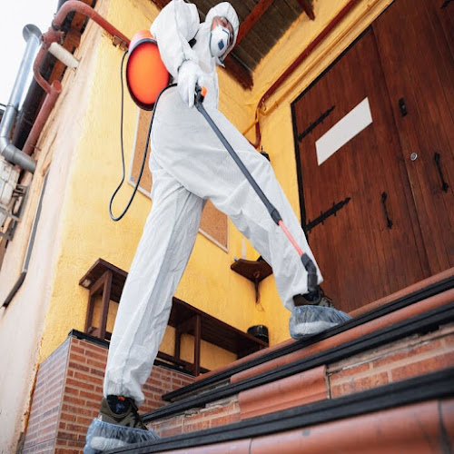 Mold Experts of Minnesota