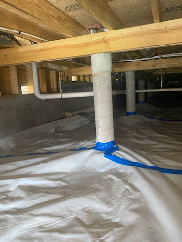 Certified Water and Mold Restoration - Springfield Mold + Water Damage Specialists