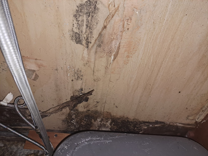 JLM Brothers - Mold Removal Services