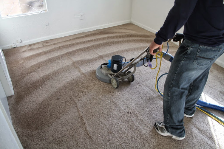 All Action Water Extraction & Carpet Cleaning