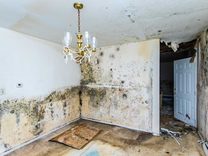 Hester Water Damage Restoration