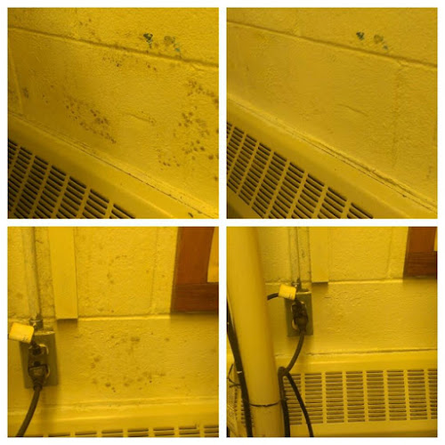 New Jersey Mold