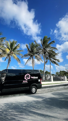 SafeOwner: SafeOwner