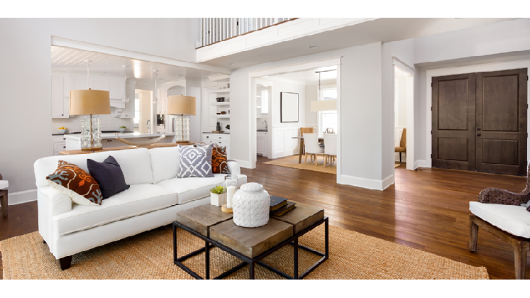 Mold Detection Services, Inc.