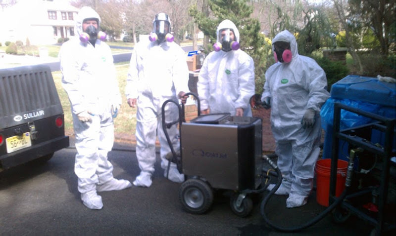 Above & Beyond Mold Inspection & Removal - Teaneck